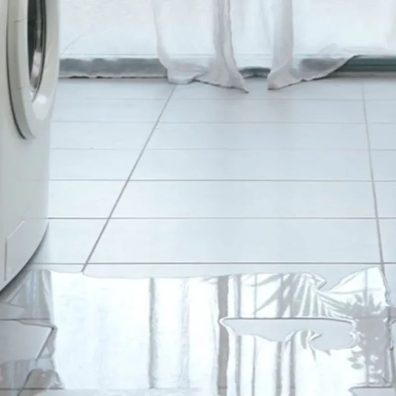 Appliance Leak Cleanup in Dubuque County, IA