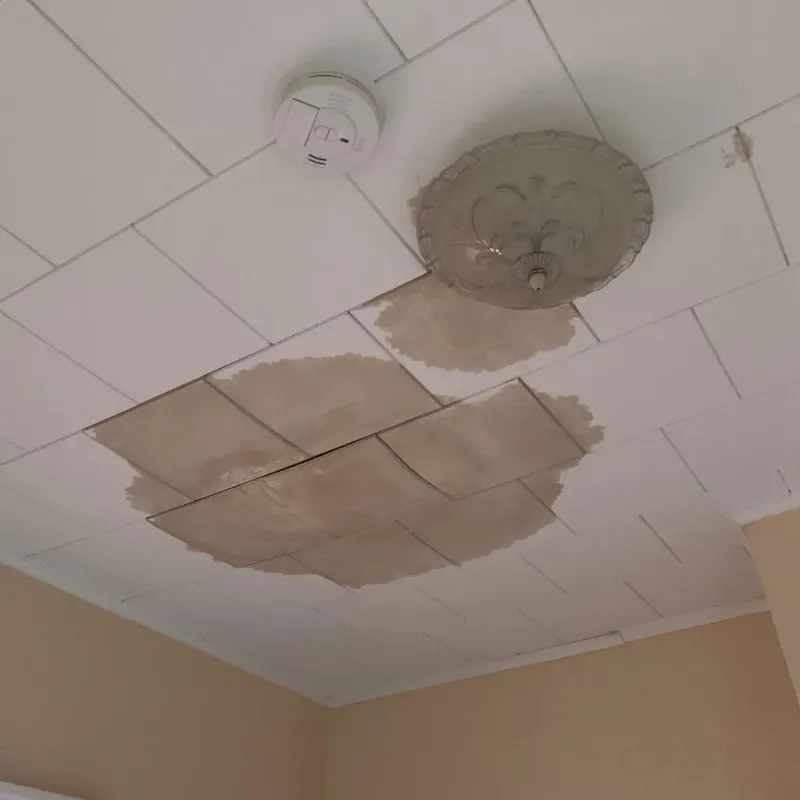 Ceiling Water Damage Repair in Dubuque County, IA