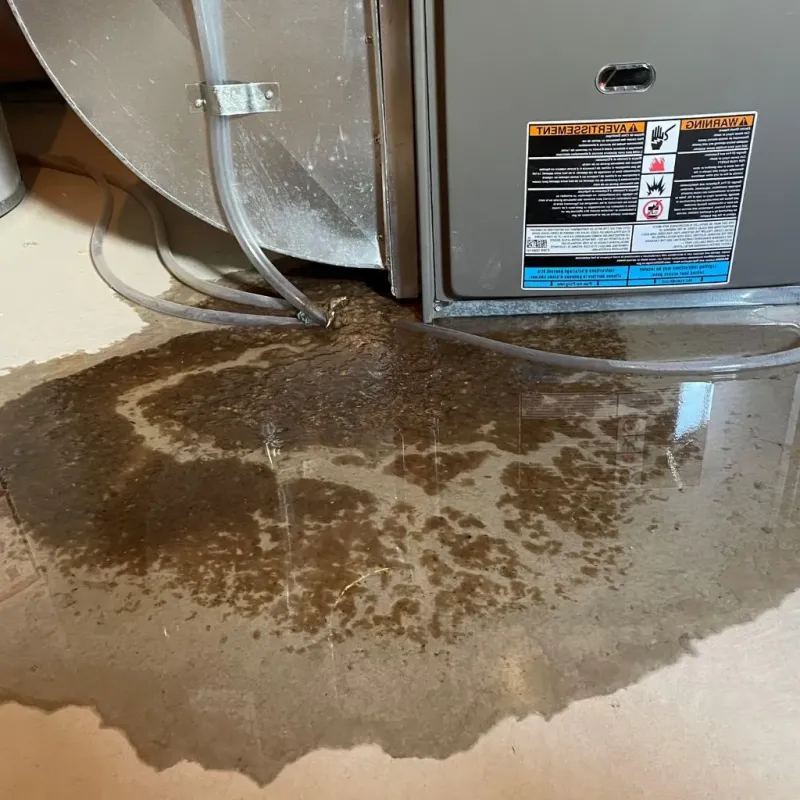 Pipe Burst and Leak Restoration in Dubuque County, IA