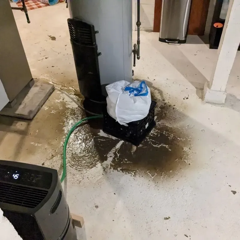 Sewage Backup Cleanup Service in Dubuque County, IA